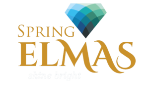 spring-elmas-logo